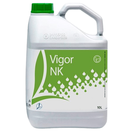 VIGOR NK