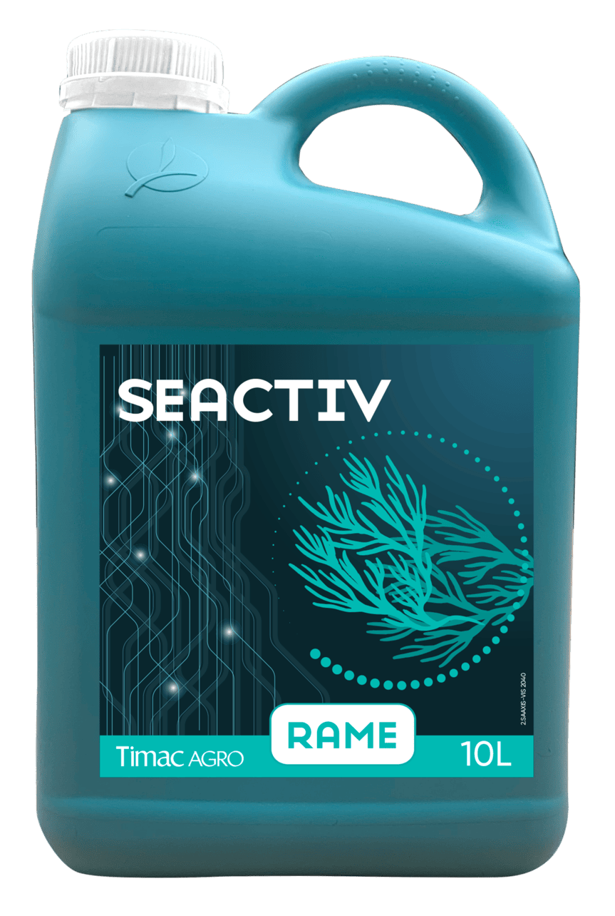 SEACTIV RAME