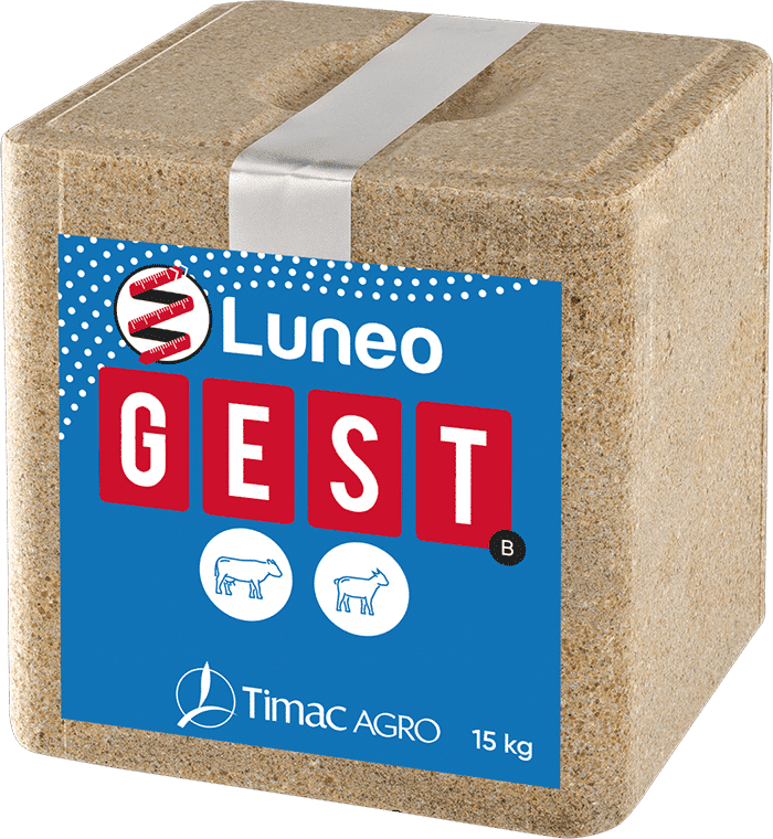 LUNEO GEST-B