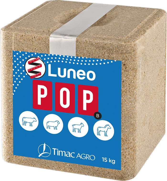 LUNEO POP-B